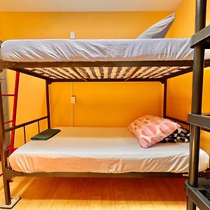 Bed 4-Bed Female Dormitory Room